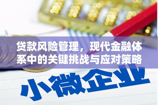 青浦贷款风险管理，现代金融体系中的关键挑战与应对策略