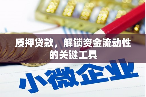 青浦质押贷款，解锁资金流动性的关键工具