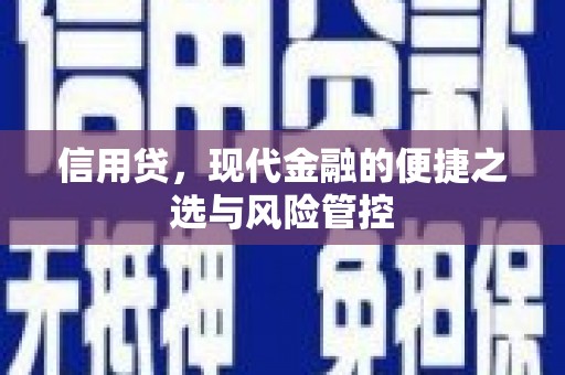 青浦信用贷，现代金融的便捷之选与风险管控