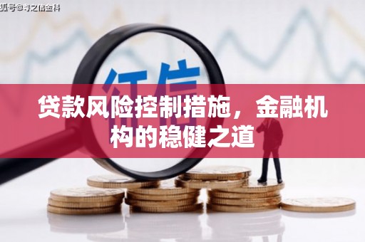 青浦贷款风险控制措施，金融机构的稳健之道