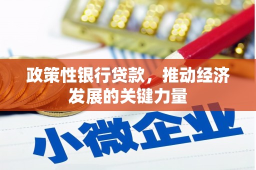 青浦政策性银行贷款，推动经济发展的关键力量