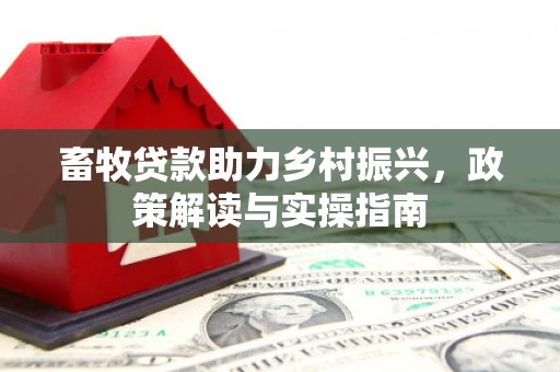 青浦畜牧贷款助力乡村振兴，政策解读与实操指南