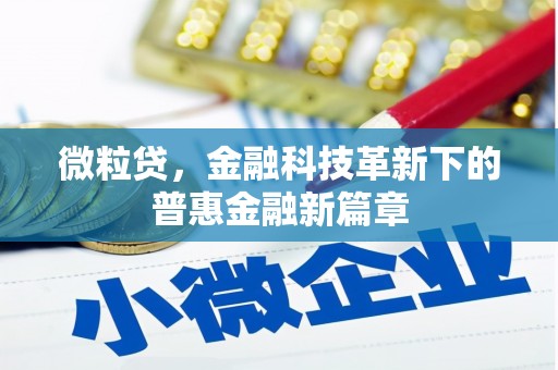 青浦微粒贷，金融科技革新下的普惠金融新篇章