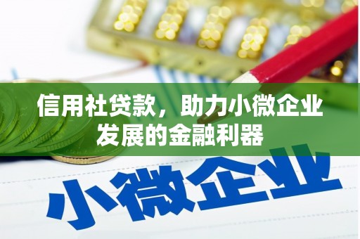 青浦信用社贷款，助力小微企业发展的金融利器