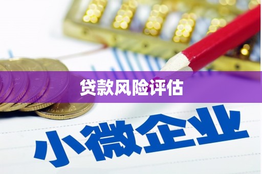 青浦贷款风险评估