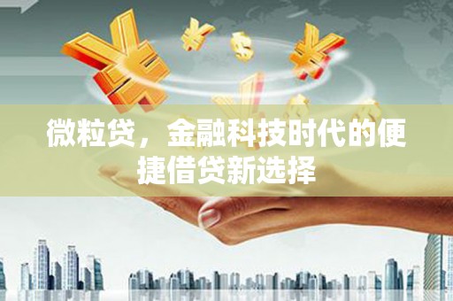 青浦微粒贷，金融科技时代的便捷借贷新选择