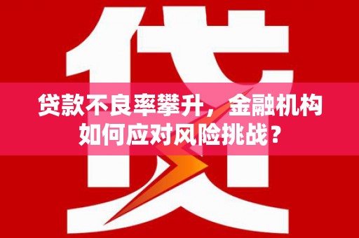 青浦贷款不良率攀升，金融机构如何应对风险挑战？