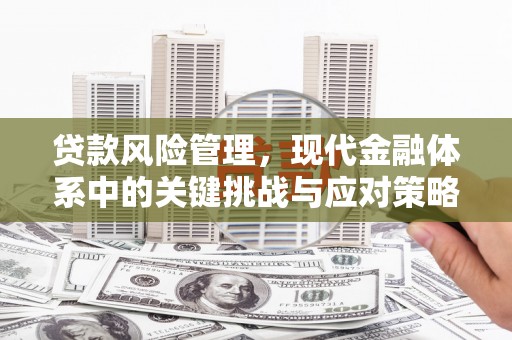 青浦贷款风险管理，现代金融体系中的关键挑战与应对策略