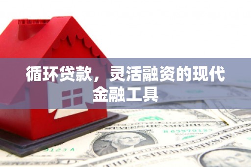 青浦循环贷款，灵活融资的现代金融工具