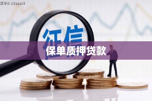 青浦保单质押贷款