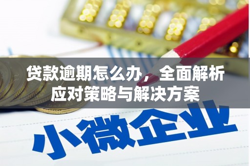 青浦贷款逾期怎么办，全面解析应对策略与解决方案