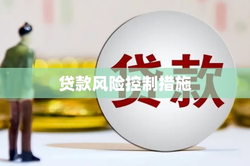 青浦贷款风险控制措施