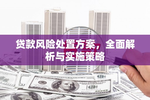 青浦贷款风险处置方案，全面解析与实施策略